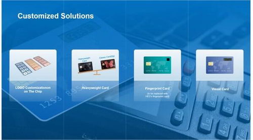 華大電子重磅亮相Seamless 2025，用芯助力數(shù)字安全新時(shí)代技術(shù)服務(wù)